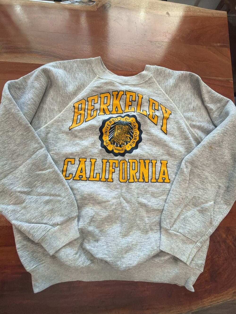 Vintage Hanes University of California Berkeley Sweatshirt Crewneck Gray XL